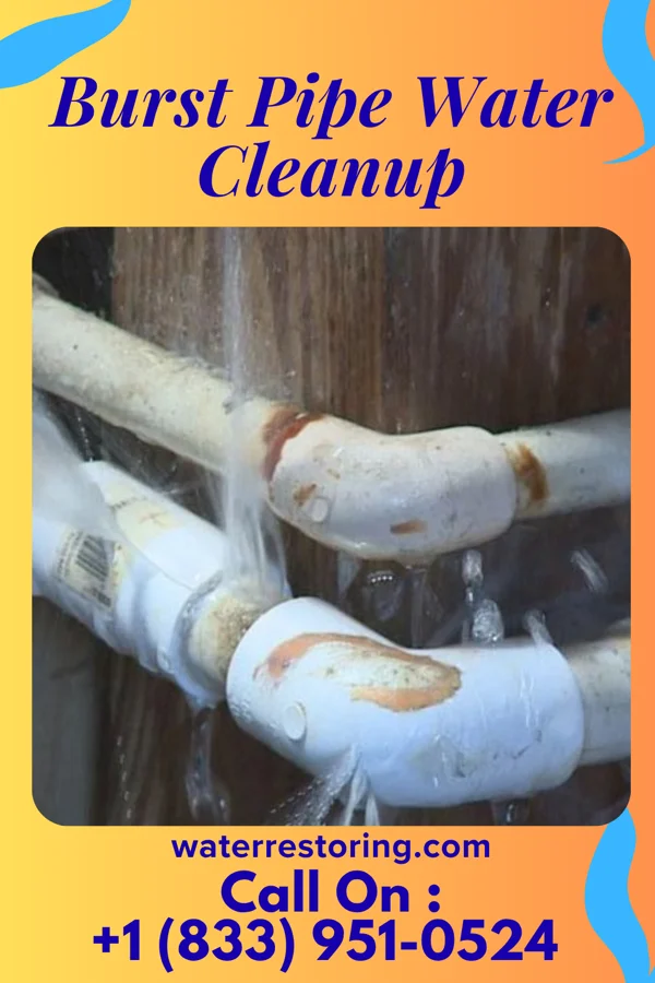 Burst Pipe Water Cleanup in Crestwood Village, NJ