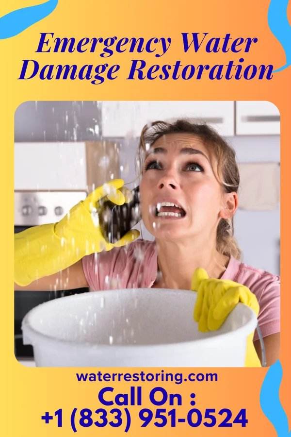 Emergency Water Damage Restoration in Crestwood Village, NJ