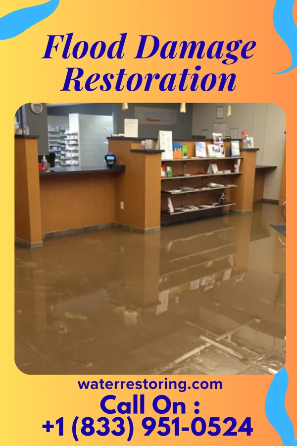 Flood Damage Restoration in Crestwood Village, NJ