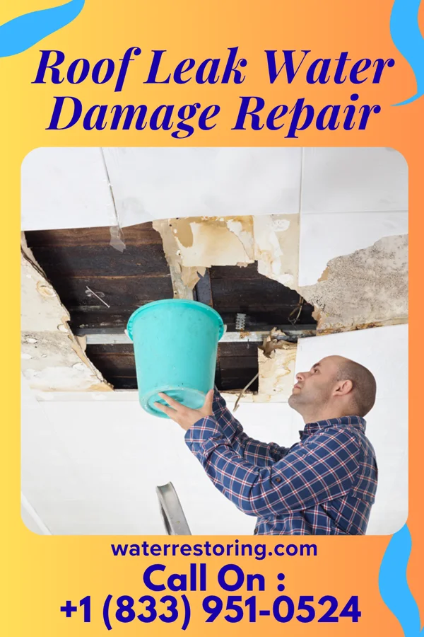 Roof Leak Water Damage Repair in Crestwood Village, NJ