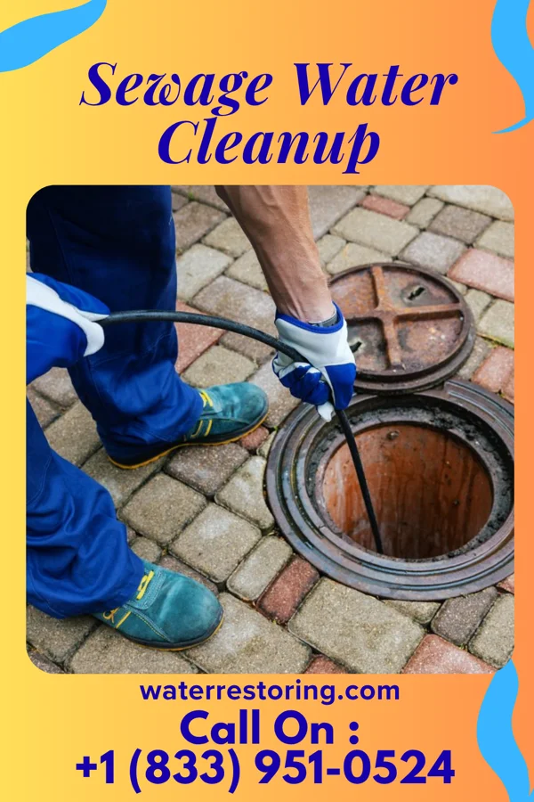 Sewage Water Cleanup in Crestwood Village, NJ