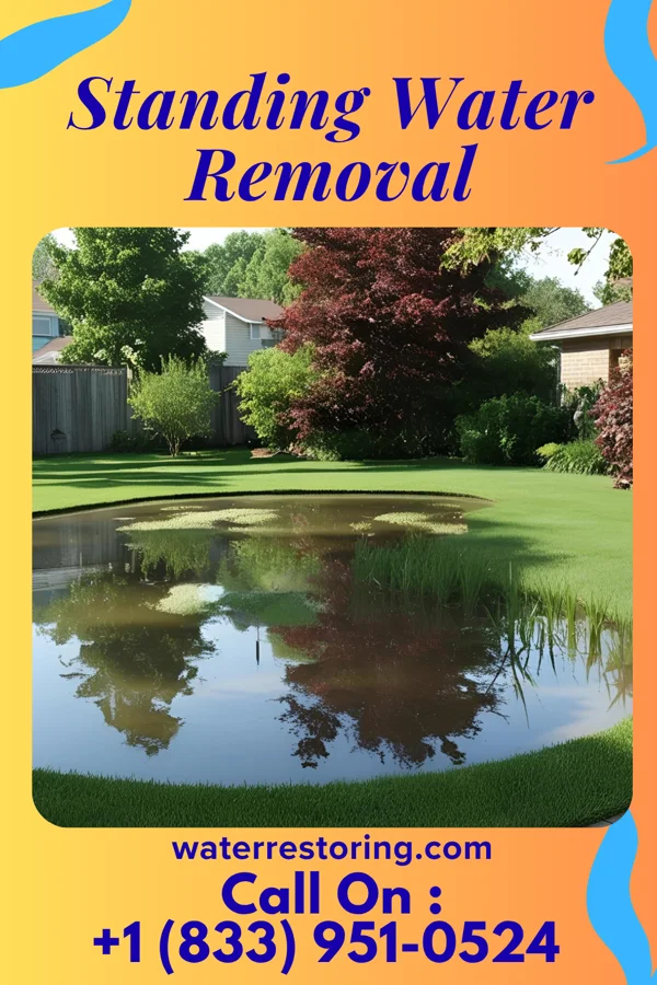 Standing Water Removal in Crestwood Village, NJ
